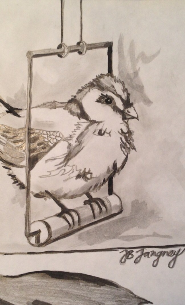 Bird #1 – 9 X12 – Paper, Pencil, Charcoal