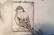 Bird #2 – 9 X12 – Paper, Pencil, Charcoal