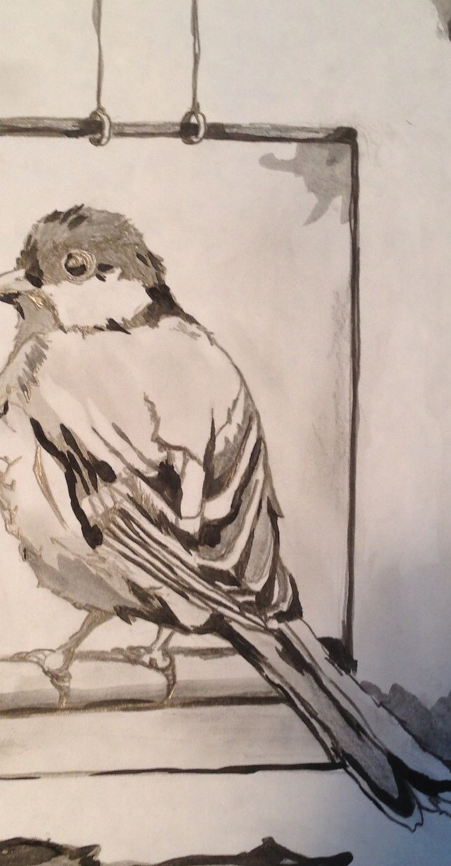 Bird #2 – 9 X12 – Paper, Pencil, Charcoal