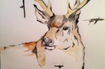 Buck #2 – 12 X 18 – Paper, Pencil, Watercolors