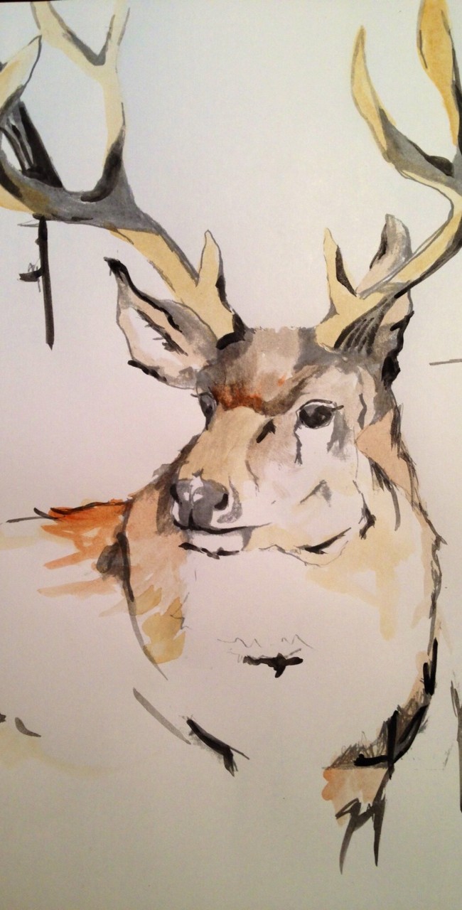 Buck #2 – 12 X 18 – Paper, Pencil, Watercolors