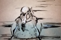 Drake in Water #1 – 9 X 12 – Paper, Pencil, Watercolors, Acrylic