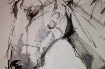 Shades of a Horse – 12 X 18 – Paper, Pencil, Watercolors, Acrylic