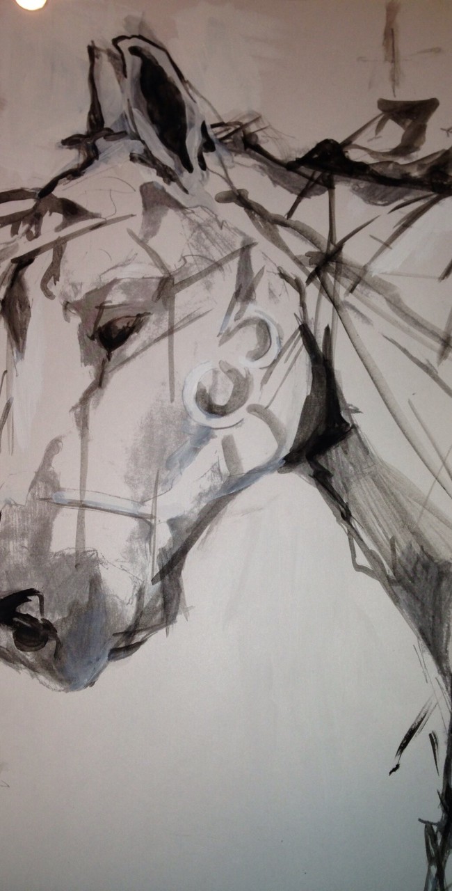 Shades of a Horse – 12 X 18 – Paper, Pencil, Watercolors, Acrylic